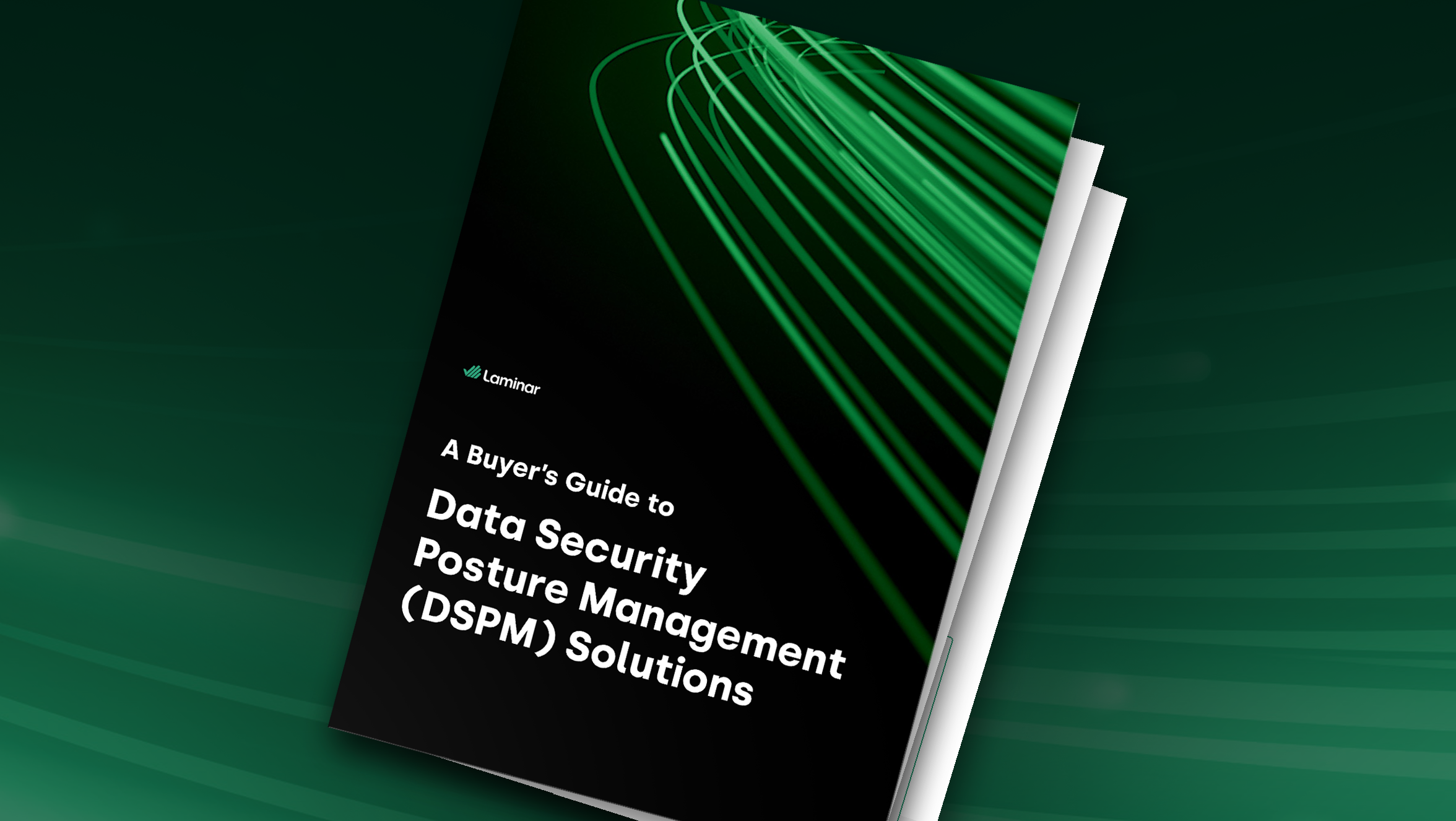 A Buyer’s Guide to DSPM Solutions