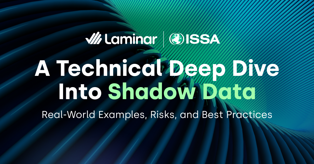 A Technical Deep Dive Into Shadow Data